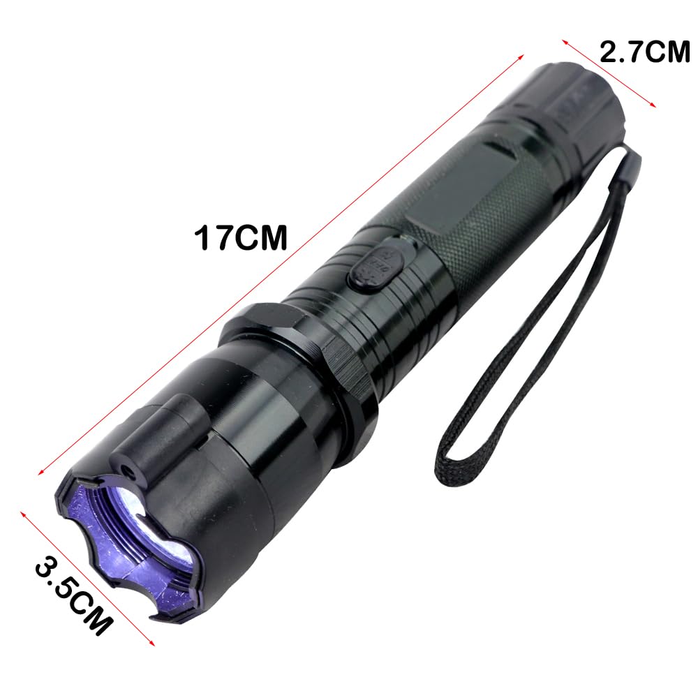 Torch LED Flashlight 1101