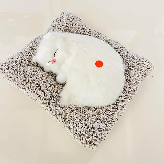 Musical Cat Toy